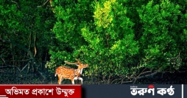 দুই দিন সুন্দরবনে পর্যটক প্রবেশে নিষেধাজ্ঞা