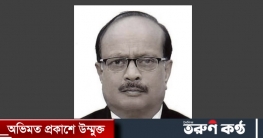 মারা গেছেন পরিচালক তমিজ উদ্দিন রিজভী 