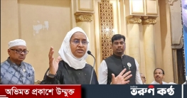 সরকারের সাহসের বড় উৎস প্রবাসীরা: দীপু মনি