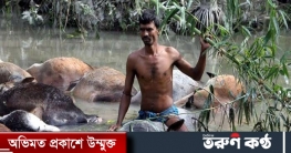 আজ সেই ভয়াল ২৯ এপ্রিল আজ সেই ভয়াল ২৯ এপ্রিল