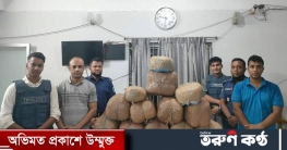 সরাইলে ৪৬ কেজি গাঁজাসহ পিকআপ আটক সরাইলে ৪৬ কেজি গাঁজাসহ পিকআপ আটক