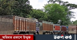 সীমান্তে বিএসএফের অস্ত্র ‘ছিনতাই’, ৮ ঘণ্টা পর আমদানি-রফতানি শুরু