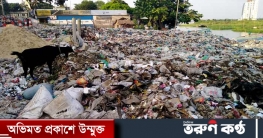 ময়লা-আবর্জনার দুর্গন্ধে অতিষ্ঠ নবীনগর পৌরবাসী ময়লা-আবর্জনার দুর্গন্ধে অতিষ্ঠ নবীনগর পৌরবাসী