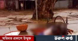 ময়মনসিংহে ভ্যানে বৈদ্যুতিক তার ছিঁড়ে পড়ে দুজনের মৃত্যু