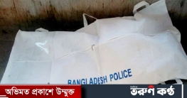 যাত্রাবাড়ীতে দ্রুতগামী গাড়ির ধাক্কায় বৃদ্ধ নিহত