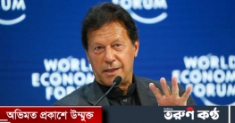 পাকিস্তান সরকারের সঙ্গে পিটিআইয়ের বৈঠক, যে ফলাফল এলো