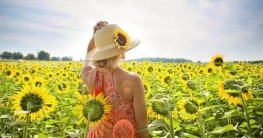 গরমকালে কোন কোন অসুখ হওয়ার সম্ভাবনা বেশি থাকে?