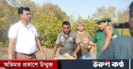 সুন্দরবনে অবমুক্ত হলো ভারতীয় স্যাটেলাইটযুক্ত কচ্ছপ সুন্দরবনে অবমুক্ত হলো ভারতীয় স্যাটেলাইটযুক্ত কচ্ছপ