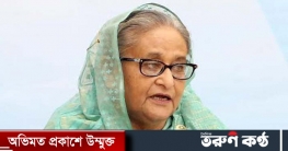 ডেল্টা প্ল্যান বাস্তবায়নে উন্নয়ন অংশীদারদের সহযোগিতার আহবান প্রধা ডেল্টা প্ল্যান বাস্তবায়নে উন্নয়ন অংশীদারদের সহযোগিতার আহবান প্রধা