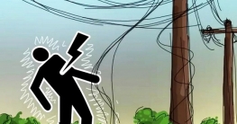 আম পাড়তে গিয়ে বিদ্যুৎস্পৃষ্টে শ্রমিকের মৃত্যু