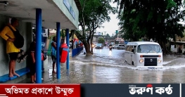 ব্রাজিলে বন্যা-ভূমিধসে ৩০ জনের মৃত্যু