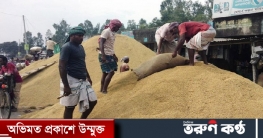 করপোরেট প্রতিষ্ঠানের দৌরাত্ম্যে বাড়ছে চালের দাম