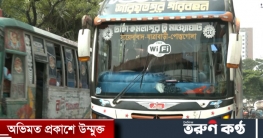 নতুন বাস দিয়ে পদ্মা সেতু পাড়ি দিতে চান তারা
