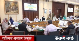 জনগণ পাশে ছিল বলেই পদ্মা সেতু হয়েছে: প্রধানমন্ত্রী