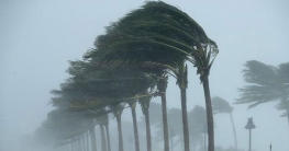 চলতি বছর ২১টি ভয়াবহ ঝড়ের আশঙ্কা