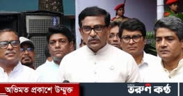 পদ্মা সেতু নিয়ে কোনো দুর্নীতি হয়নি: হানিফ