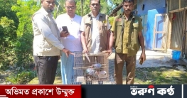 কাপ্তাইয়ে বন বিভাগের অভিযানে ৭টি কালিম পাখি উদ্ধার কাপ্তাইয়ে বন বিভাগের অভিযানে ৭টি কালিম পাখি উদ্ধার