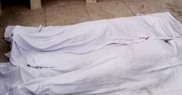 গাছে মোটরসাইকেলের ধাক্কা, শ্যালিকা-দুলাভাই নিহত