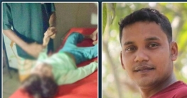 কুমিল্লায় গাছ উপড়ে পড়ে এক পরিবারের ৩ জন নিহত