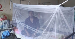 মাদারীপুরে ডেঙ্গুতে একদিনে আক্রান্ত ৬