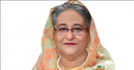 দেশের স্বাস্থ্য খাতে উল্লেখযোগ্য অগ্রগতি হয়েছে: প্রধানমন্ত্রী