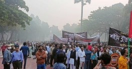 শহীদ বুদ্ধিজীবী স্মৃতিসৌধে সর্বস্তরের মানুষের শ্রদ্ধা