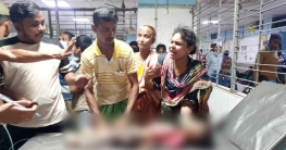 রাজধানীতে কুকুরের কামড়ে শিশুর মৃত্যু