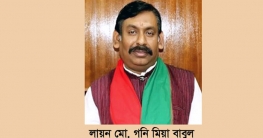 বিজয় নিশান