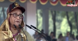 বিজিবিকে আধুনিক বাহিনী হিসেবে গড়ে তোলা হয়েছে: প্রধানমন্ত্রী