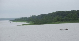কক্সবাজারে ৮ বাংলাদেশিকে তুলে নিয়ে গেছে রোহিঙ্গা সন্ত্রাসীরা