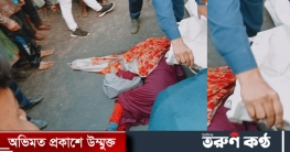 যশোরের শার্শায় ট্রাক চাপায় পল্লী বিদুৎ কর্মী নিহত