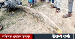 মাটি খুঁড়তেই বের হলো হেলিকপ্টারের পাখা