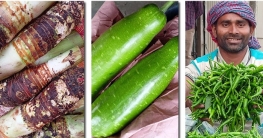 শরীয়তপুরের কচু-কাঁচামরিচ-লাউ যাচ্ছে সুইজারল্যান্ডে শরীয়তপুরের কচু-কাঁচামরিচ-লাউ যাচ্ছে সুইজারল্যান্ডে