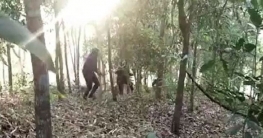 রোহিঙ্গা ক্যাম্পে র‌্যাবের অভিযান, ২ জঙ্গি গ্রেপ্তার