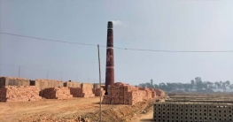 বাঁশখালীতে ইটভাটাকে দুই লাখ টাকা জরিমানা