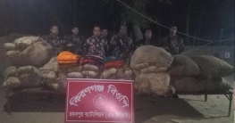 সীমান্তে পৃথক অভিযানে বিভিন্ন মাদকদ্রব্য উদ্ধার