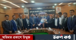 আইনজীবী সমিতির নব নির্বাচিত কমিটির জেলা প্রশাসকের সাথে সাক্ষাৎ