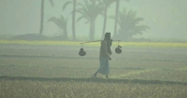 আবহাওয়ার খবর: ৭ ফেব্রুয়ারি ২০২৩