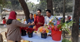ভালোবাসা দিবসে আনন্দ ছড়াতে ফুল বিক্রি করছেন ঢাবির তিন ছাত্র