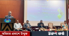 দুর্যোগ মোকাবিলায় ন্যাপে চিহ্নিত ১১৩টি কর্মসূচি বাস্তবায়ন করা হবে