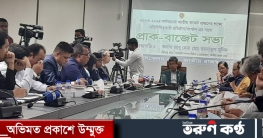 এতো বিপদে নেই যে বিদেশি বিনিয়োগ পেতে উজাড় করে দিতে হবে