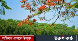 আবহাওয়ার খবর: ২৫ ফেব্রুয়ারি ২০২৩