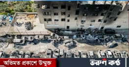 নাবলুসে ইসরায়েলি অবৈধ বসতিস্থাপনকারীদের তাণ্ডব
