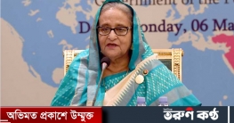 দেশের বাণিজ্য বাড়াতে কূটনীতিকদের তৎপর হওয়ার নির্দেশ