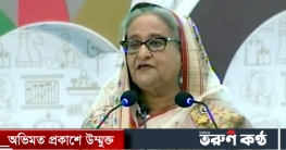 ৩০০ কোটি মানুষের বাজার হতে পারে বাংলাদেশ : প্রধানমন্ত্রী