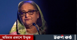 রোহিঙ্গাদের কাজের সুযোগ দিতে পারব না, আল জাজিরাকে প্রধানমন্ত্রী