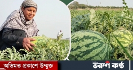 ২ হাজার কোটি টাকার বেশি তরমুজ বিক্রি হবে