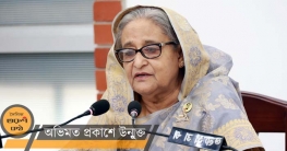 অস্ত্র হাতে নয়, অন্ধকারে নয়, সরকার গঠন হবে ভোটে: শেখ হাসিনা