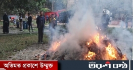 চাঁপাইনবাবগঞ্জে বিপুল পরিমাণ মাদকদ্রব্য ধ্বংস