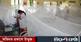 পাঁচ মাস পর ডেঙ্গুতে মৃত্যুহীন দিন